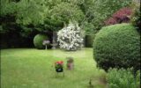 Maison à vendre à Combs-la-ville — Vue parc — photo 1