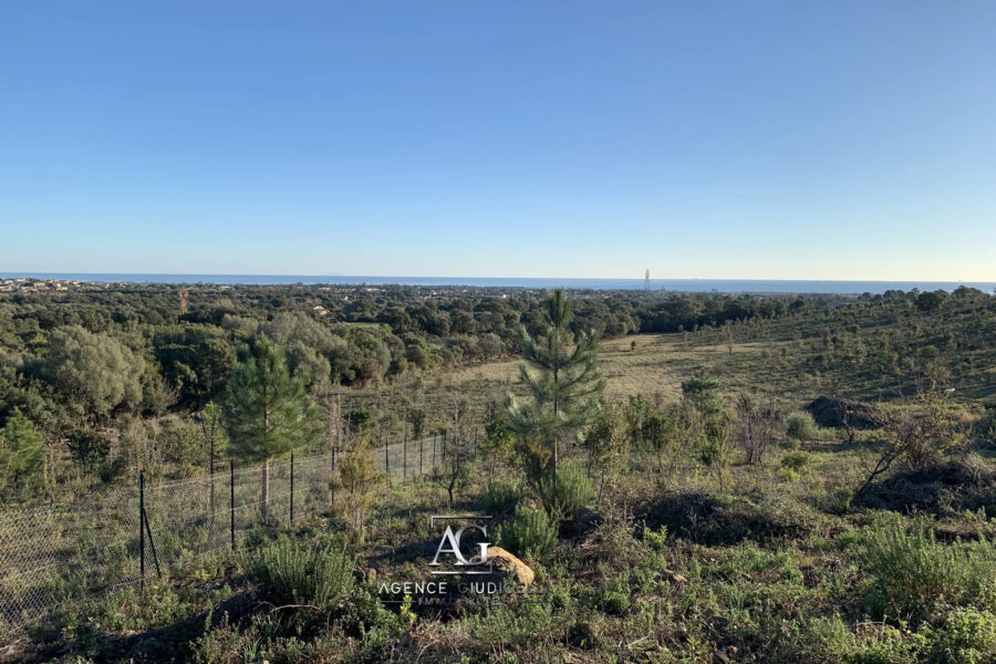 Terrain à vendre à Solaro