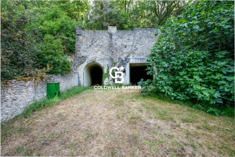 Maison à vendre à Rochecorbon — Vue nature — photo 13