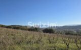 Maison à vendre à Visan — Vue nature — photo 11
