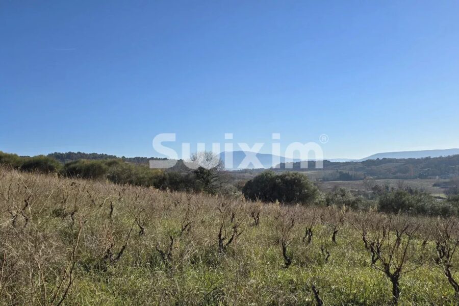 Maison à vendre à Visan — Vue nature — photo 11