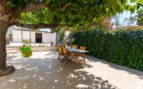 Maison à vendre à Montpellier — Vue nature — photo 22