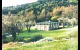 Maison à vendre à Menton — Vue nature — photo 8