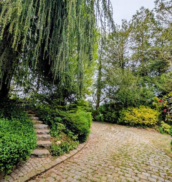 Maison à vendre à Hillion — Vue nature — photo 3