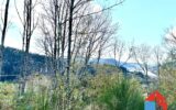 Terrain à vendre à Gérardmer — Vue nature — photo 3
