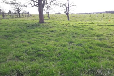 Terrain à vendre à Villers-le-sec