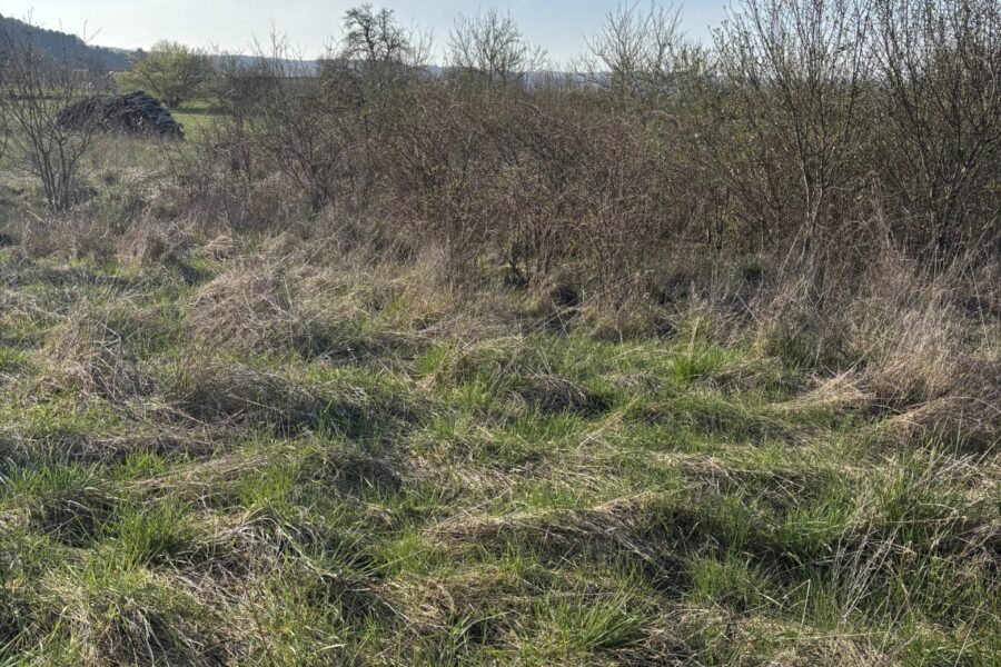 Terrain à vendre à Watronville — Vue nature — photo 4