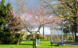 Maison à vendre à Périssac — Vue vignes — photo 9