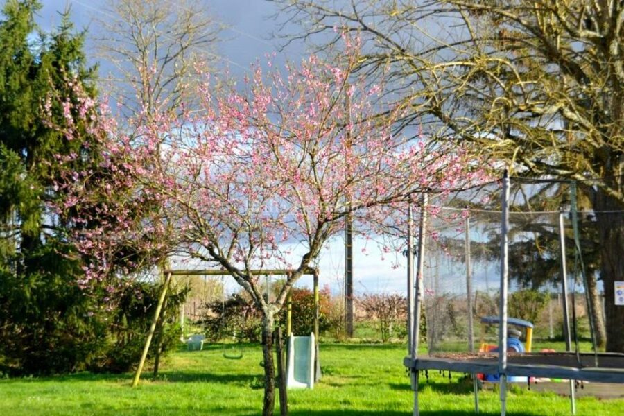 Maison à vendre à Périssac — Vue vignes — photo 9