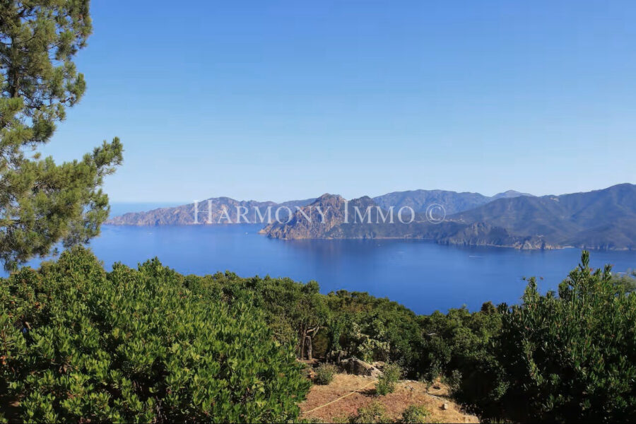 Maison à vendre à Piana
