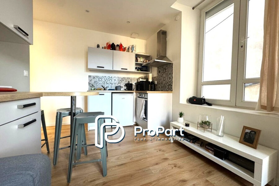 Appartement à vendre à Clermont-ferrand — Vue montagne — photo 6