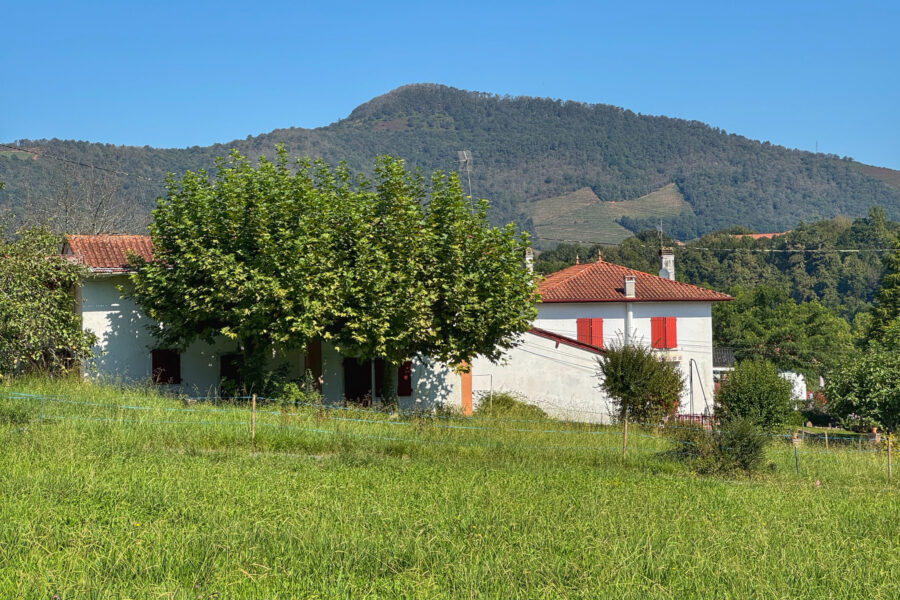 Terrain à vendre à Saint-jean-pied-de-port