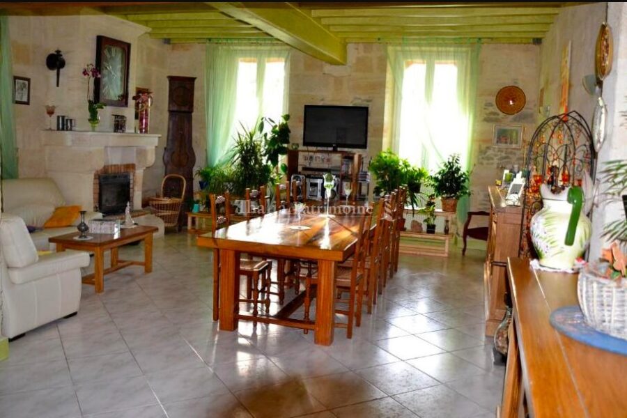 Maison à vendre à Périssac — Vue vignes — photo 15