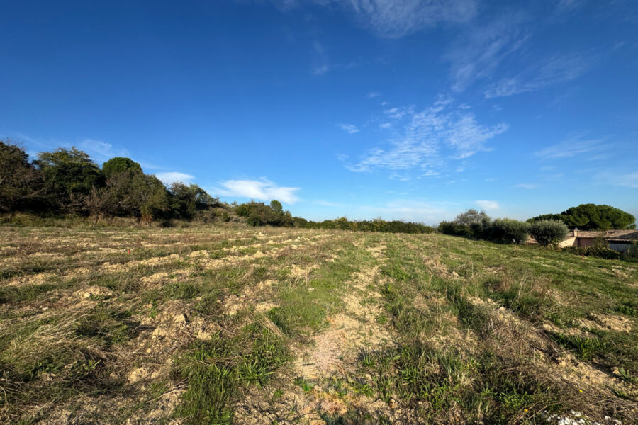 Terrain à vendre à Saint-geniès-de-comolas — Vue nature — photo 4