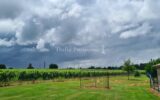 Maison à vendre à Périssac — Vue vignes — photo 1