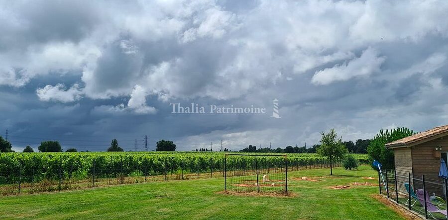Maison à vendre à Périssac — Vue vignes — photo 1