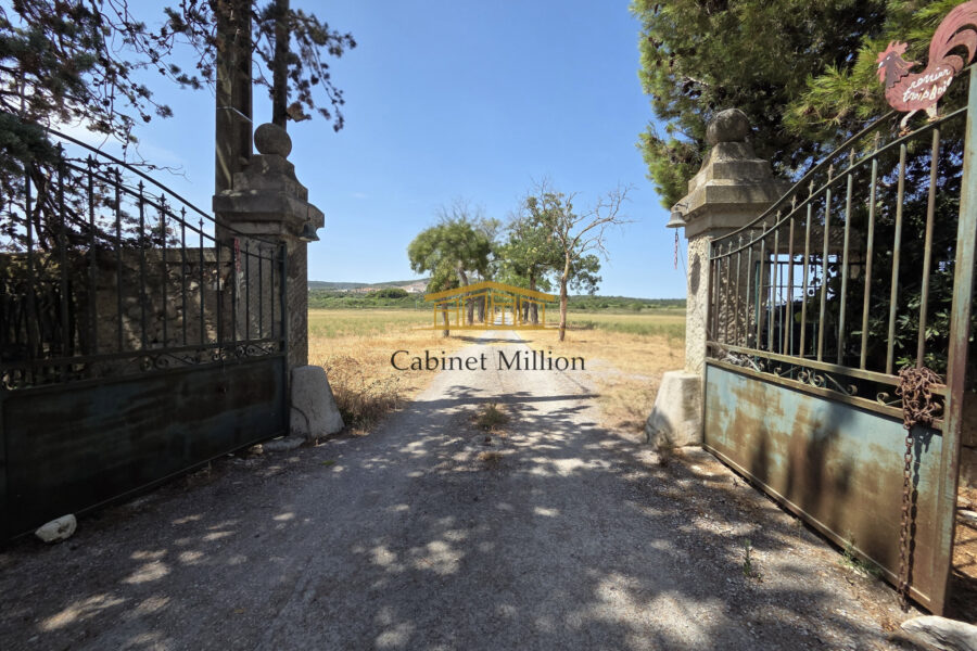 Maison à vendre à Villeneuve-lès-maguelone — Vue nature — photo 3