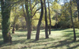 Terrain à vendre à Salernes — Vue nature — photo 8