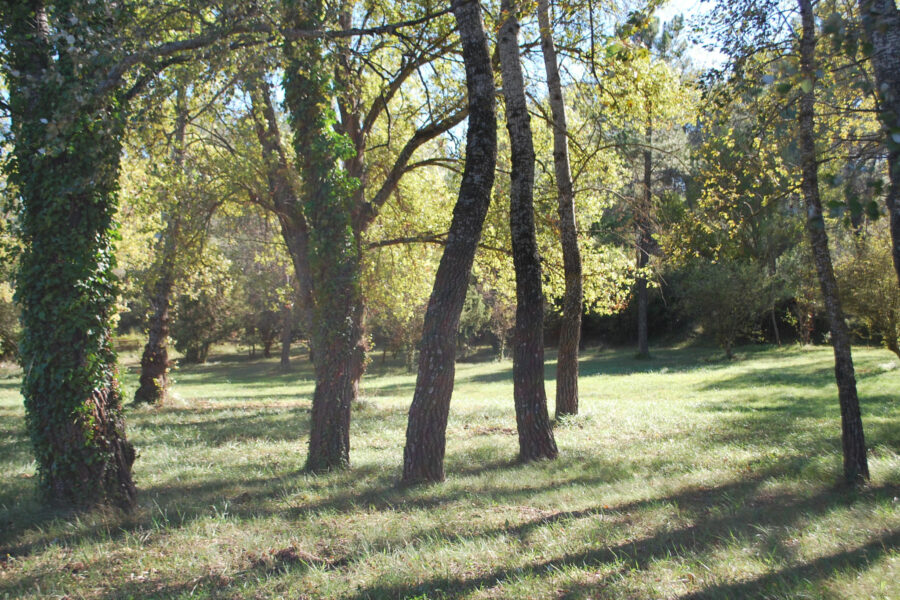 Terrain à vendre à Salernes — Vue nature — photo 8