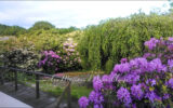 Maison à vendre à Saint-père-en-retz — Vue nature — photo 18