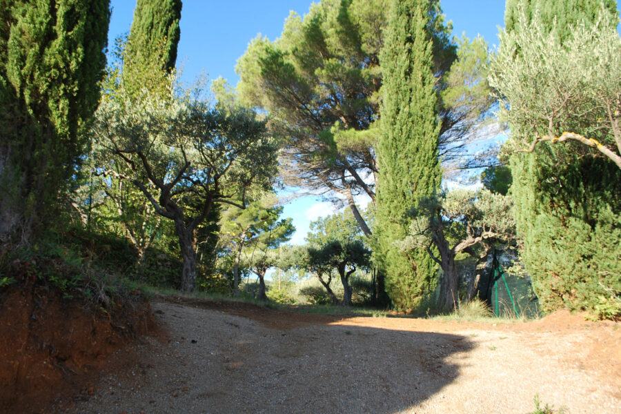 Terrain à vendre à Salernes — Vue nature — photo 7