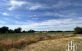 Maison à vendre à Épineuil-le-fleuriel — Vue nature — photo 12