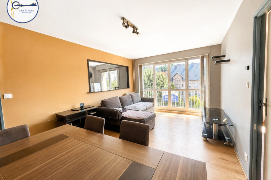 Appartement à vendre à Épinal — Vue sur la ville — photo 6