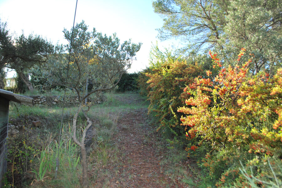 Terrain à vendre à Salernes — Vue nature — photo 12