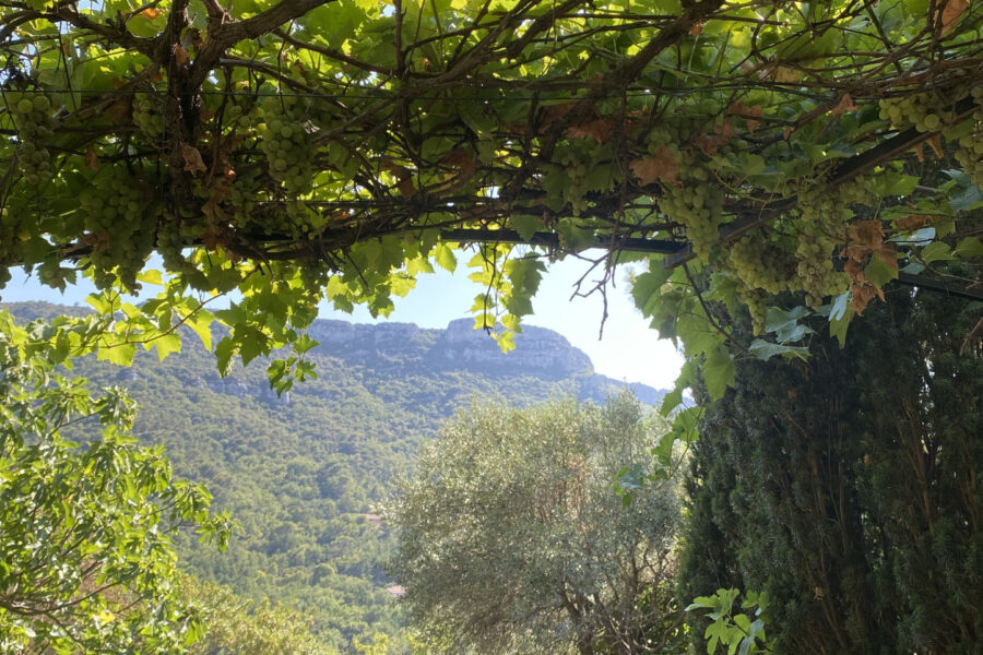Maison à vendre à Mimet — Vue nature — photo 14