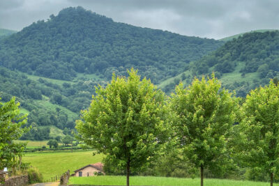 Maison à vendre à Larceveau-arros-cibits