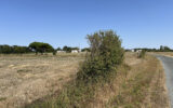 Terrain à vendre à L&rsquo;Île-d&rsquo;olonne — Vue nature — photo 2