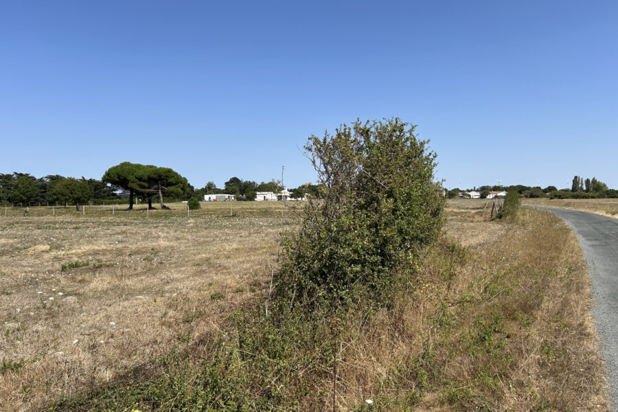 Terrain à vendre à L&rsquo;Île-d&rsquo;olonne — Vue nature — photo 2