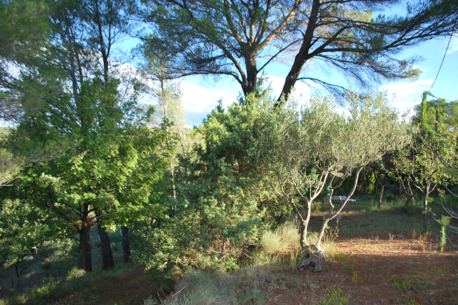 Terrain à vendre à Salernes — Vue nature — photo 9