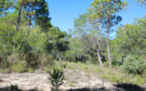Terrain à vendre à Salernes — Vue nature — photo 7