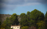 Maison à vendre à Salernes — Vue nature — photo 18