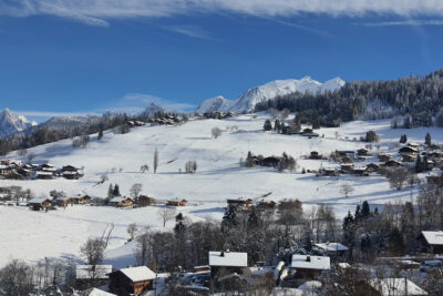Appartement à vendre à Combloux