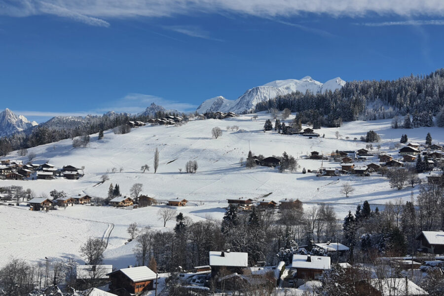 Appartement à vendre à Combloux