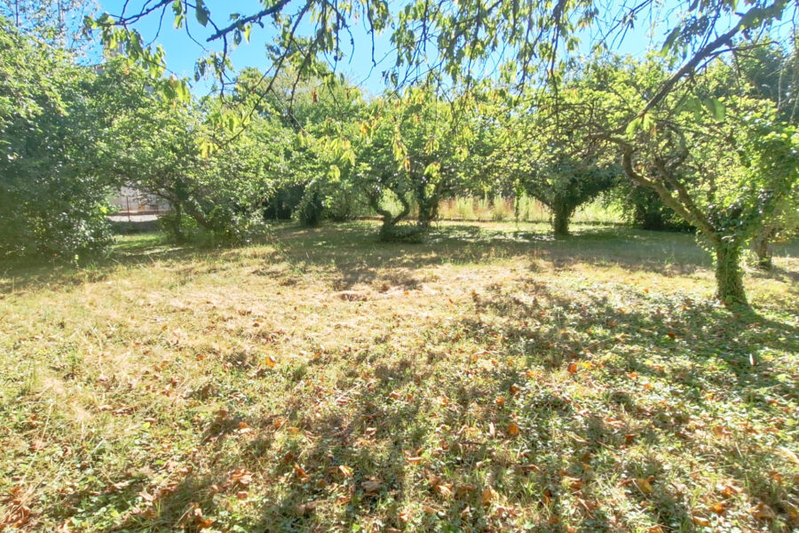 Terrain à vendre à Saint-germain-du-bois — Vue nature — photo 2