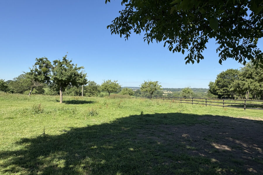 Maison à vendre à Le pin-au-haras — Vue nature — photo 10