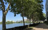 Appartement à louer à Créteil — Vue nature — photo 1