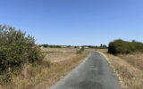 Terrain à vendre à L&rsquo;Île-d&rsquo;olonne — Vue nature — photo 3