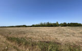 Terrain à vendre à L&rsquo;Île-d&rsquo;olonne — Vue nature — photo 1