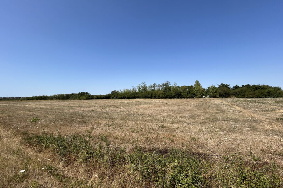 Terrain à vendre à L&rsquo;Île-d&rsquo;olonne — Vue nature — photo 1