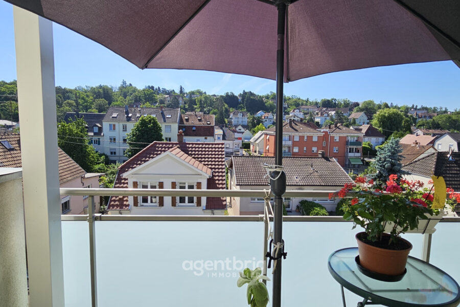 Appartement à vendre à Brunstatt-didenheim — Vue sur la ville — photo 1