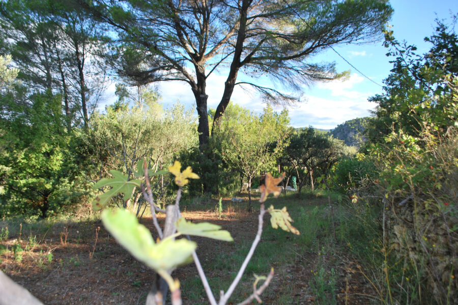 Terrain à vendre à Salernes — Vue nature — photo 10