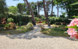 Maison à vendre à Vacqueyras — Vue vignes — photo 6