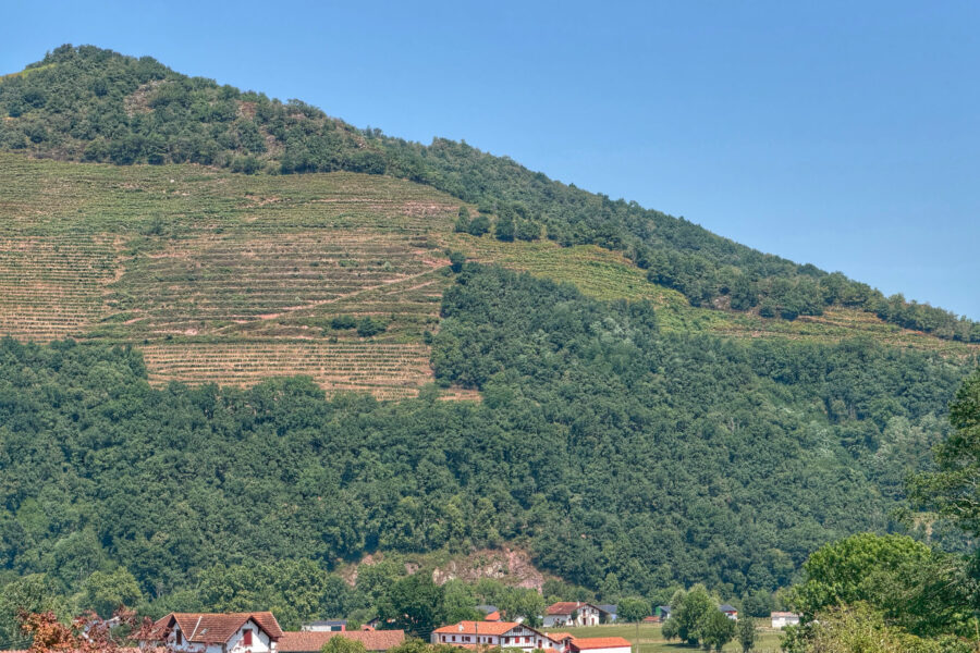 Maison à vendre à Saint-jean-pied-de-port — Vue montagne — photo 4