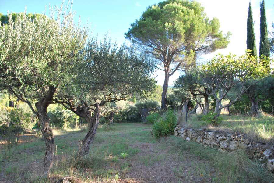 Terrain à vendre à Salernes — Vue nature — photo 2