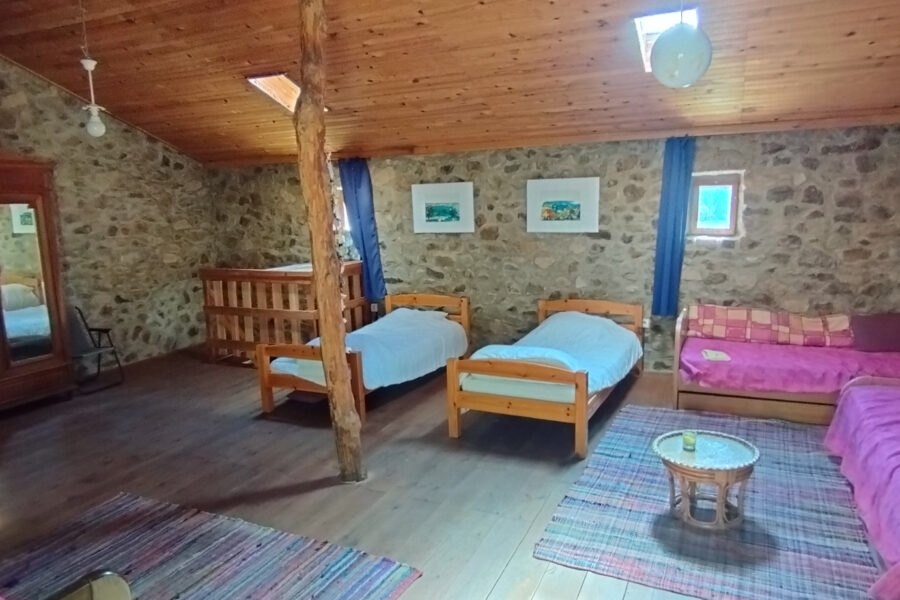 Maison à vendre à Nonières
