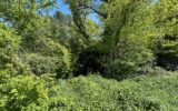 Terrain à vendre à Villecroze — Vue nature — photo 4
